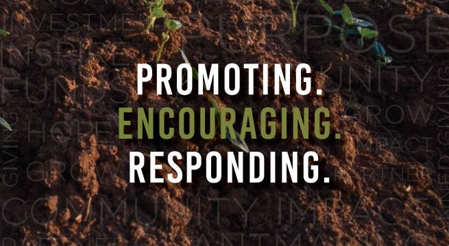 The Spartanburg County Foundation 2016 Annual Reports